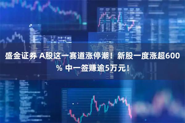 盛金证券 A股这一赛道涨停潮！新股一度涨超600% 中一签赚逾5万元！