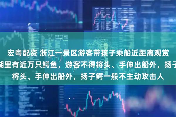 宏粤配资 浙江一景区游客带孩子乘船近距离观赏鳄鱼引关注,景区:湖里有近万只鳄鱼,游客不得将头、手伸出船外,扬子鳄一般不主动攻击人