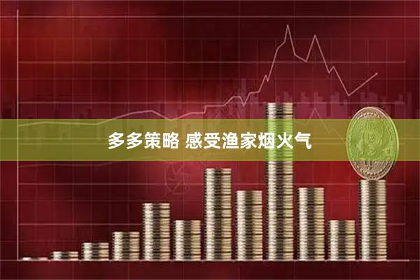 多多策略 感受渔家烟火气